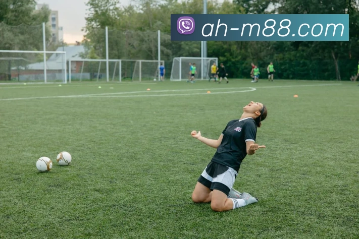 明升ms88官网APP 封面图